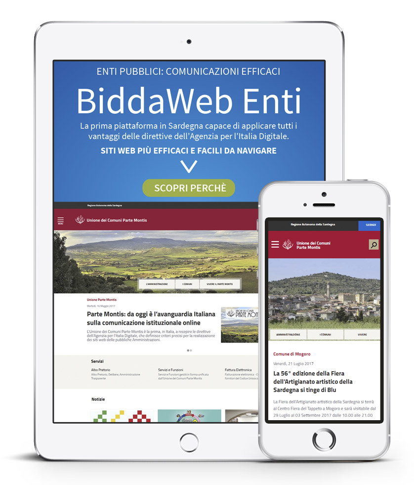 BiddaWebEnti